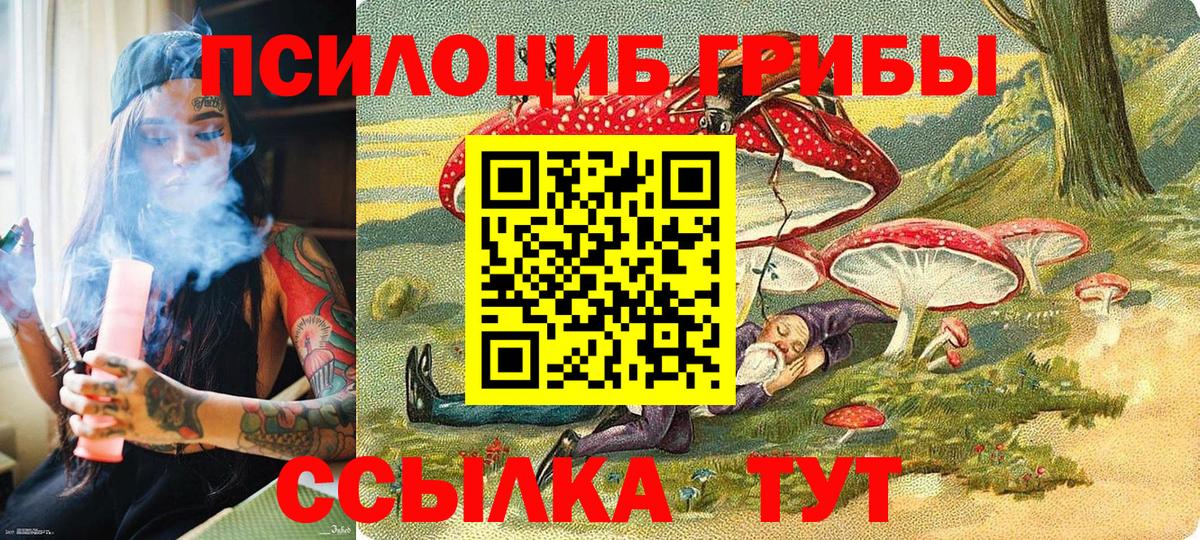 Галлюциногенные грибы Psilocybe  Вход с VPN  Псилоцибиновые грибы ЛСД  цена наркотик  Ноябрьск 